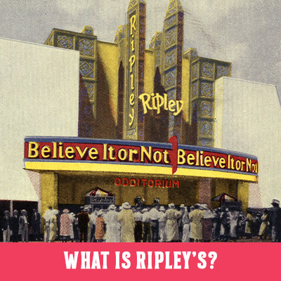 About Robert Ripley