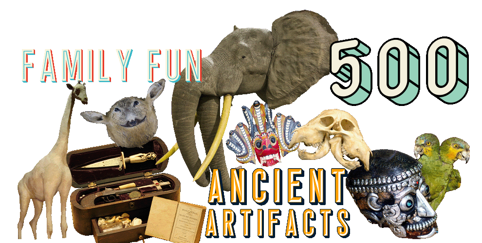 Ripley's Attractions Infographic
