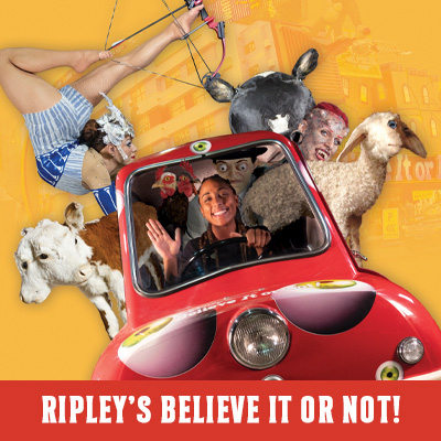 Ripley's Believe It or Not! Peel Car