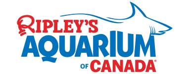 Ripley's Aquarium of Canada Logo