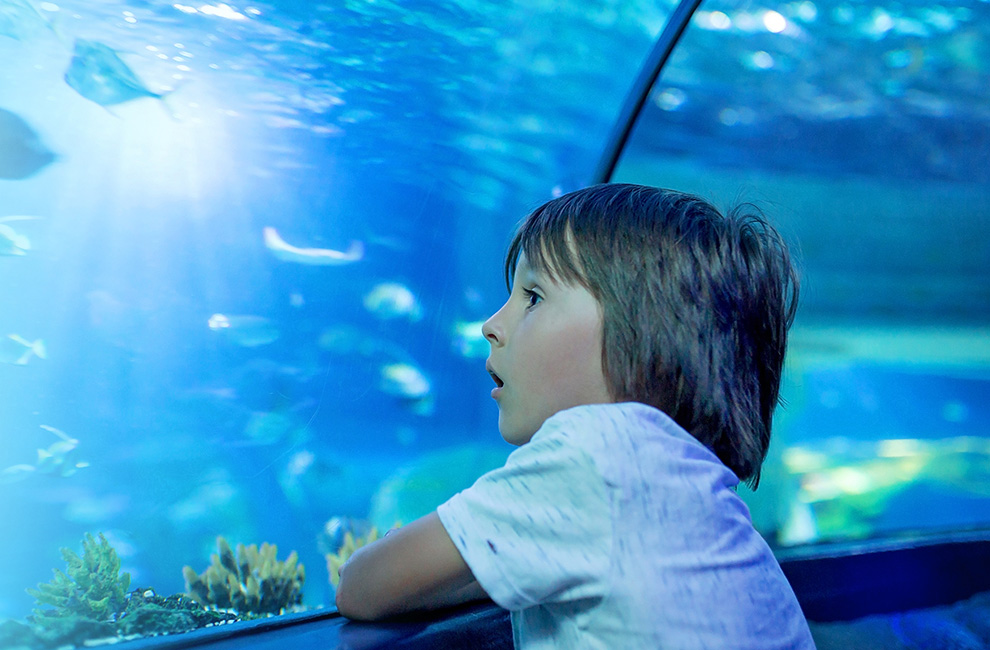 Ripley's Believe It or Not! - Niagara Falls - Aquarium of Canada