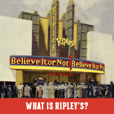 What is Ripley's