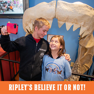 Ripley's Believe It or Not! Williamsburg