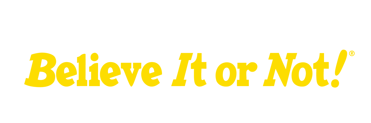 Ripley's Williamsburg