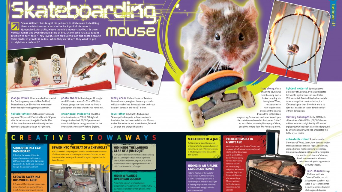 Skateboarding mouse story