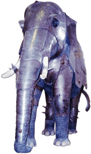 Authentic Elephant Armor