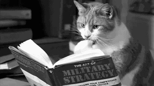 Cat on Military Strategy