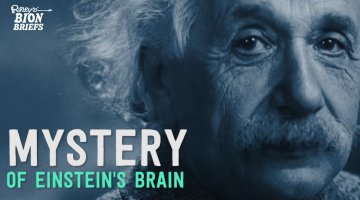 The Mystery of Einstein's Brain