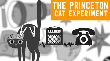 The Princeton Cat Experiment: Turning a Cat into a Phone