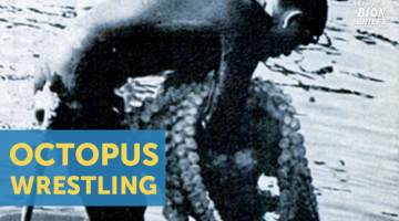 octopus wrestling