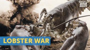 lobster war