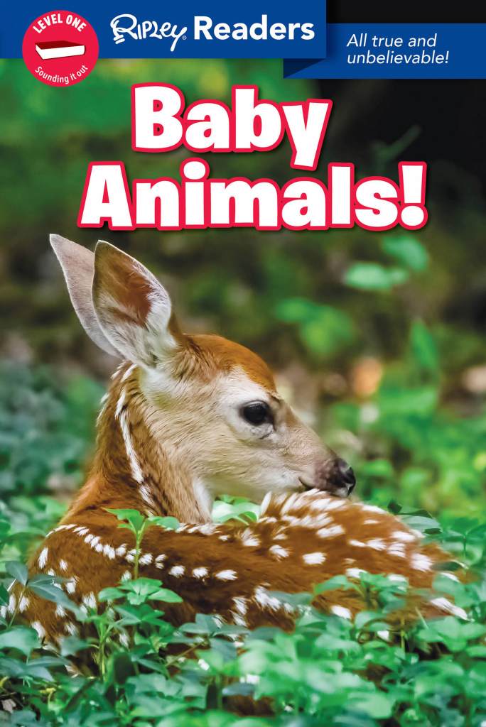 Baby Animals Cover