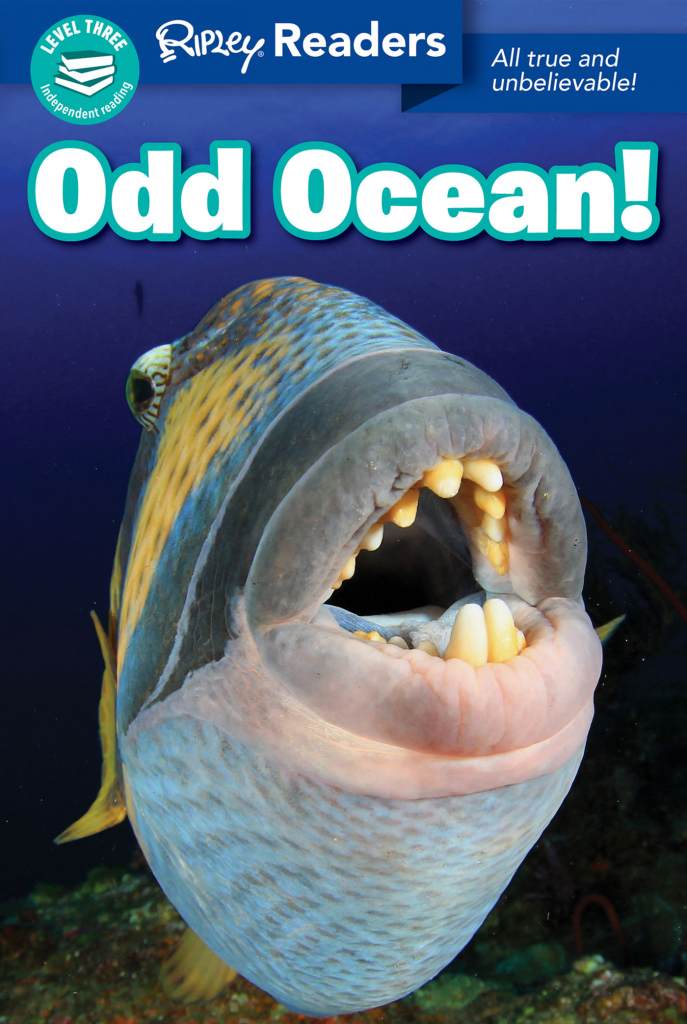 Odd Ocean Cover