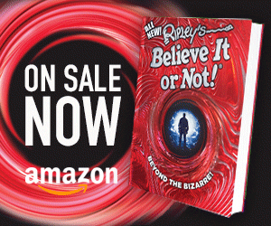 Beyond The Bizarre Now on sale!