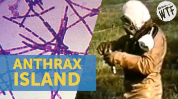 anthrax island