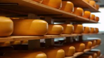 Cheese warehouse