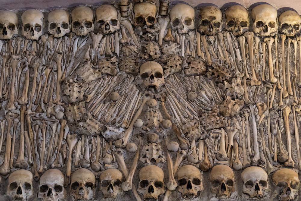 Wall of Bones