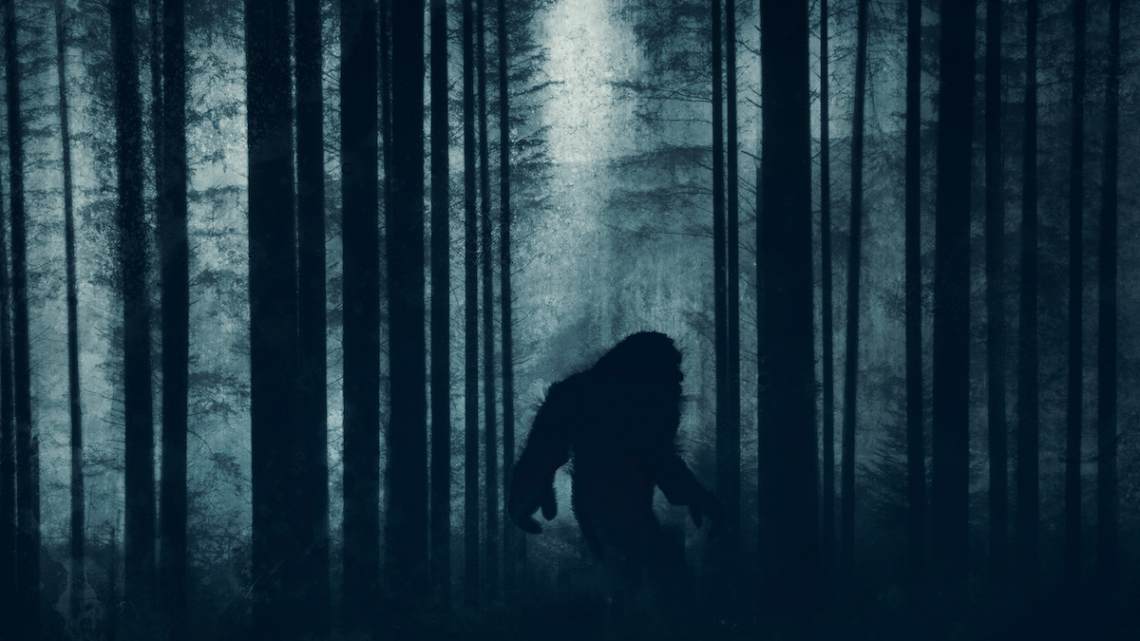 mysterious bigfoot figure, walking through a forest.