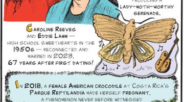 1. The hind wings of male mandolin moths feature a mandolinlike concave shape. To impress mates, they scratch a knotted vein on their wing with their back leg, producing a lady-moth-worthy serenade. 2. Caroline Reeves and Eddie Lamm - high school sweethearts in the 1950s - reconnected and married in 2023, 67 years after first dating! 3. In 2018, a female American crocodile at Costa Rica's Parque Reptilandia made herself pregnant, a phenomenon never before witnessed in the species!