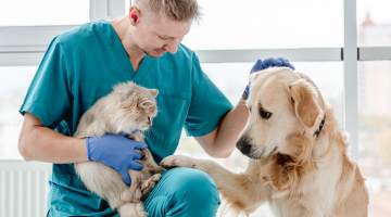 Vet with dog and cat in clinic