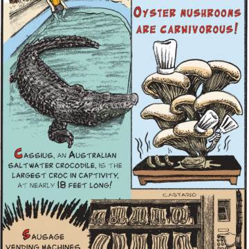 1. Oyster mushrooms are carnivorous! 2. Cassius, an Australian saltwater crocodile, is the largest croc in captivity, at nearly 18 feet long! 3. Sausage vending machines exist in Germany!